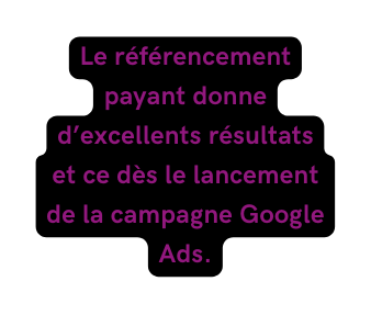 Le référencement payant donne d excellents résultats et ce dès le lancement de la campagne Google Ads